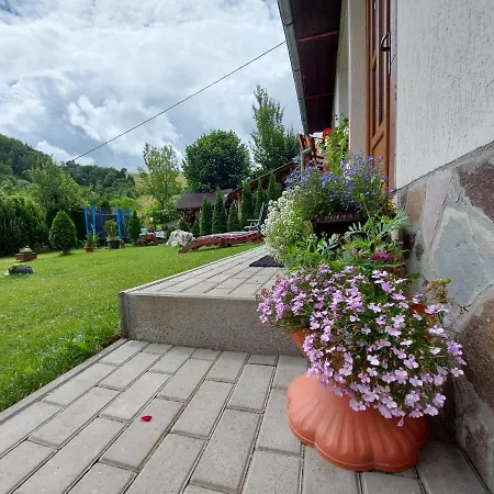 Casa Ioana * Poiana Mărului