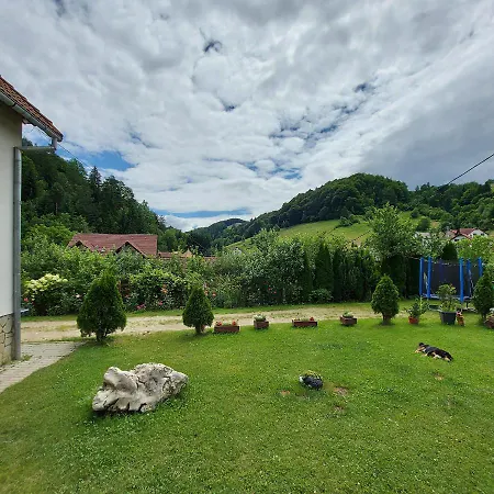 ホームステイ Casa Ioana Poiana Mărului