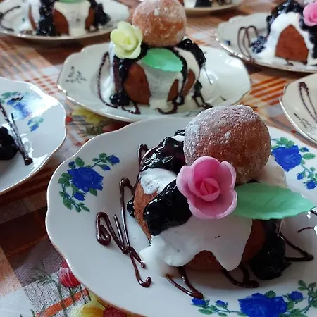 Casa Ioana ホームステイ *