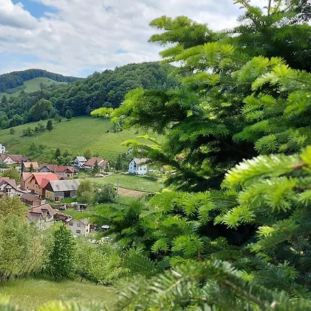 ホームステイ Casa Ioana