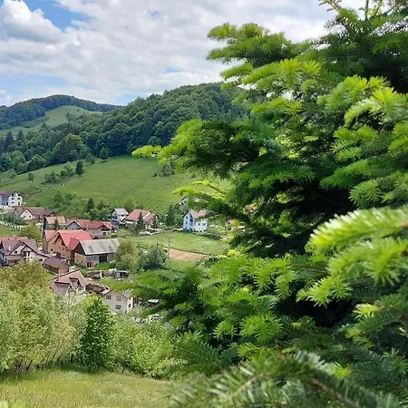 ホームステイ Casa Ioana *
