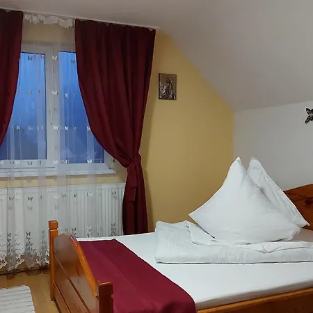 ホームステイ Casa Ioana