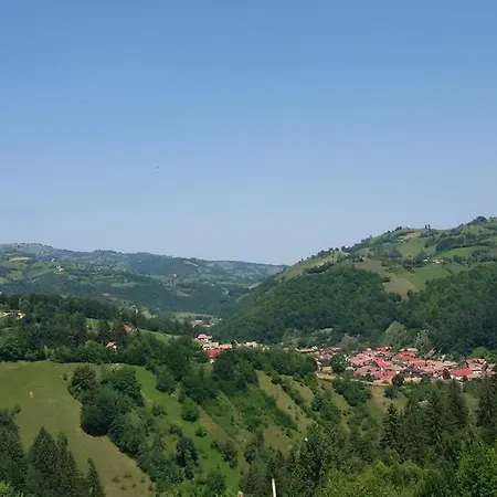 Casa Ioana ホームステイ *