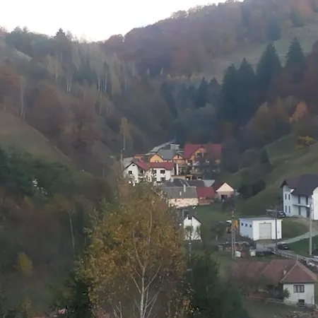 Casa Ioana * Poiana Mărului